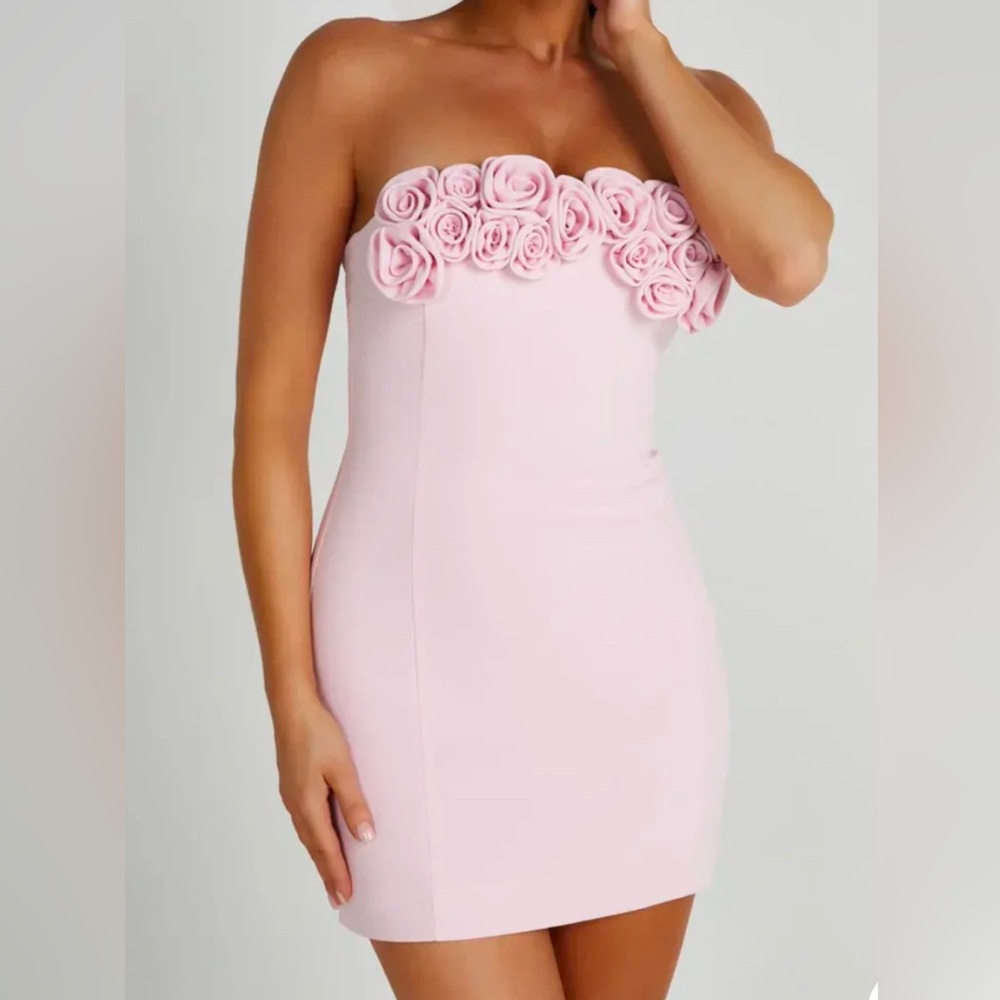 Valentine's Day Roses Mini Dress from Meshki